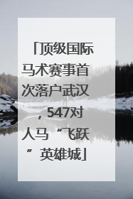 顶级国际马术赛事首次落户武汉，547对人马“飞跃”英雄城